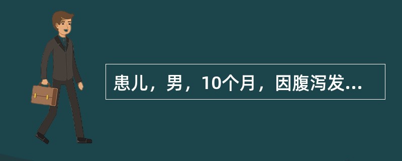 患儿，男，10个月，因腹泻发热2天入院，2天前出现腹泻，大便15余次/日，黄色水