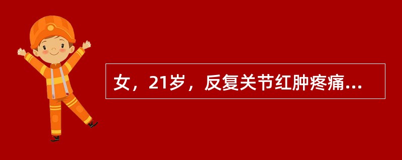 女，21岁，反复关节红肿疼痛，活动后心悸气促1天入院。查：梨形心界，心率88次/