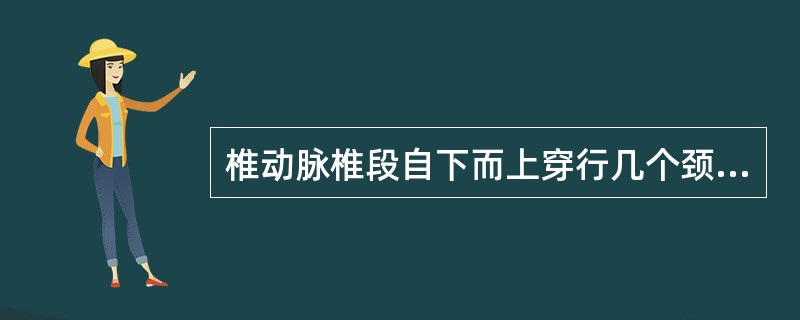 椎动脉椎段自下而上穿行几个颈椎横突孔（）