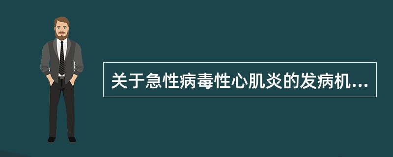 关于急性病毒性心肌炎的发病机制，下列说法正确的是（）