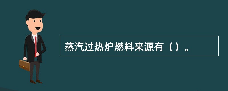 蒸汽过热炉燃料来源有（）。