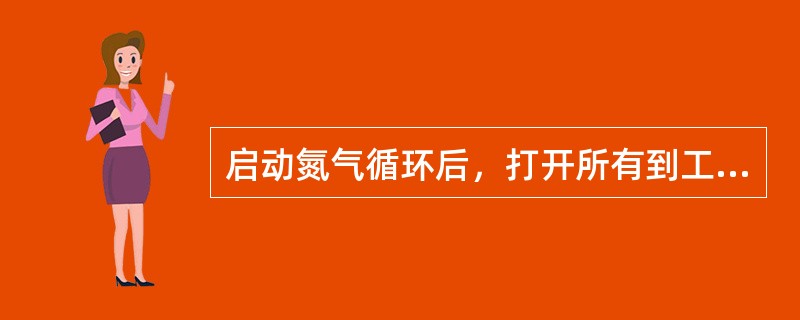 启动氮气循环后，打开所有到工艺仪表的氮气吹扫管线，包括下列重要管线（）。