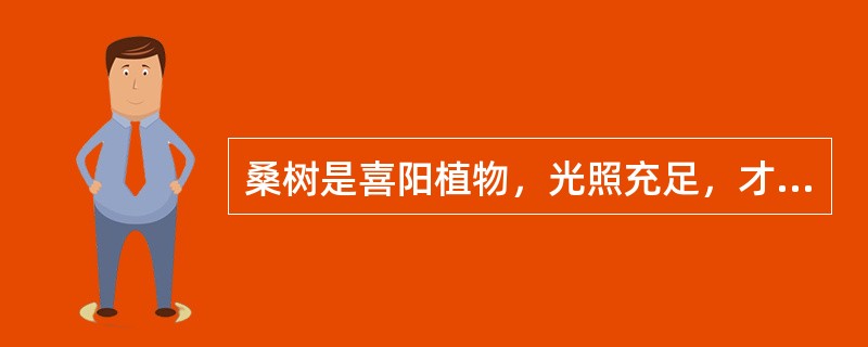 桑树是喜阳植物，光照充足，才能正常生长发育。