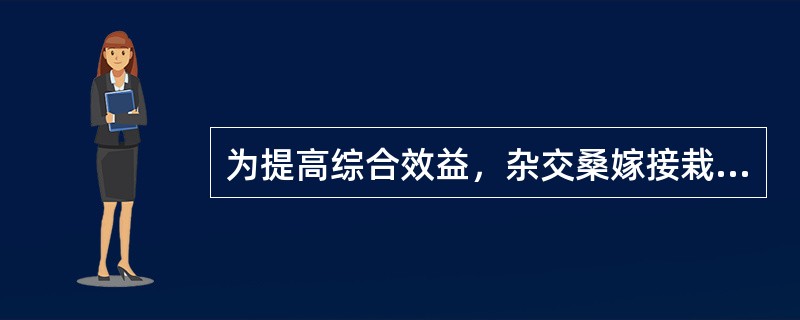 为提高综合效益，杂交桑嫁接栽植后的上半年桑树生长快，不可以套种豆类、洋芋、蔬菜等