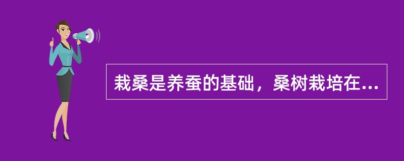 栽桑是养蚕的基础，桑树栽培在蚕桑生产中处于先导性和基础地位。