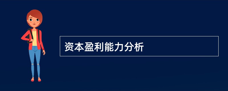 资本盈利能力分析