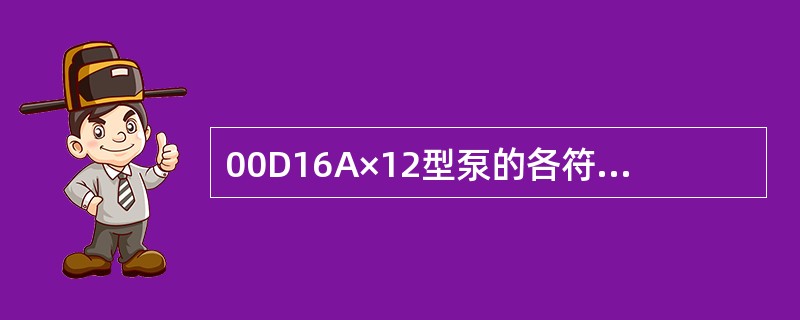 00D16A×12型泵的各符号含义是什么？