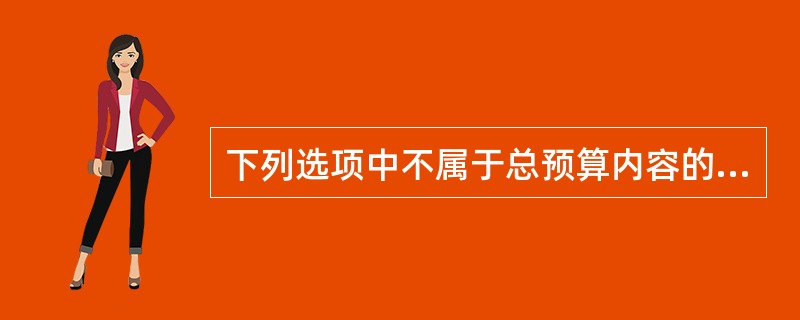下列选项中不属于总预算内容的是（）