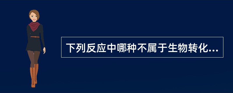 下列反应中哪种不属于生物转化的一相反应（）。