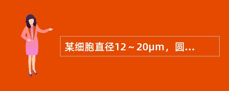 某细胞直径12～20μm，圆形或不规则，胞核不规则，核染色质疏松，核仁消失，胞质