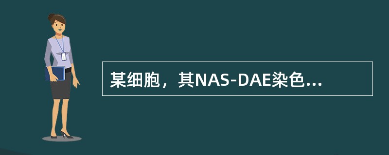 某细胞，其NAS-DAE染色、POX染色、NAS-DCE染色均呈强阳性，初步可判