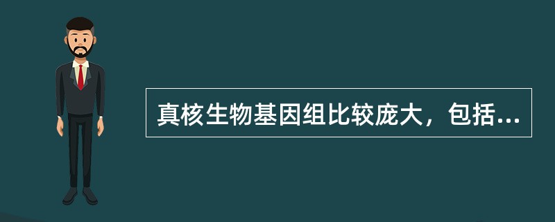 真核生物基因组比较庞大，包括（）和（）。