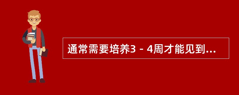 通常需要培养3－4周才能见到生长的细菌是（）