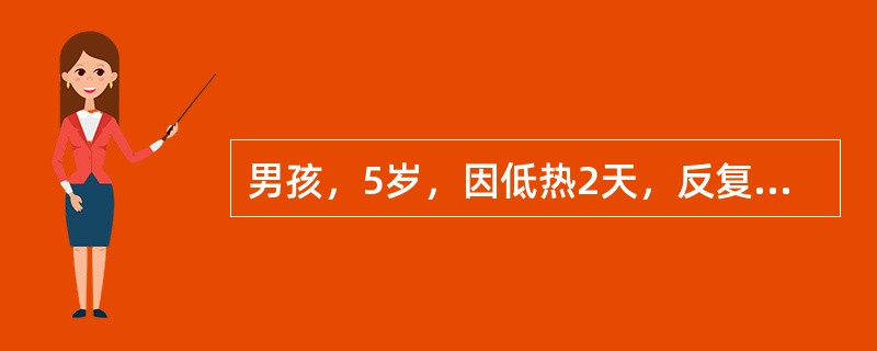 男孩，5岁，因低热2天，反复惊厥发作3次，伴右侧肢体瘫痪半天入院。病前健康，无既