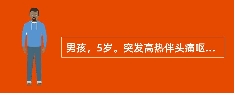 男孩，5岁。突发高热伴头痛呕吐2天，于3月20日住院。体检发现患儿昏睡状，臀部见