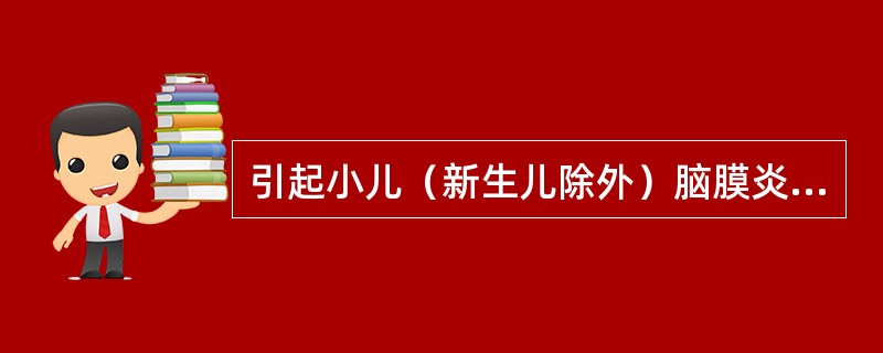 引起小儿（新生儿除外）脑膜炎常见的病原菌是（）