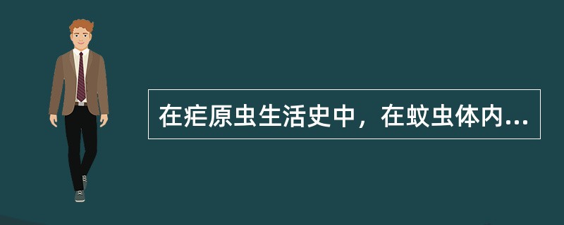 在疟原虫生活史中，在蚊虫体内的生长发育阶段是（）.