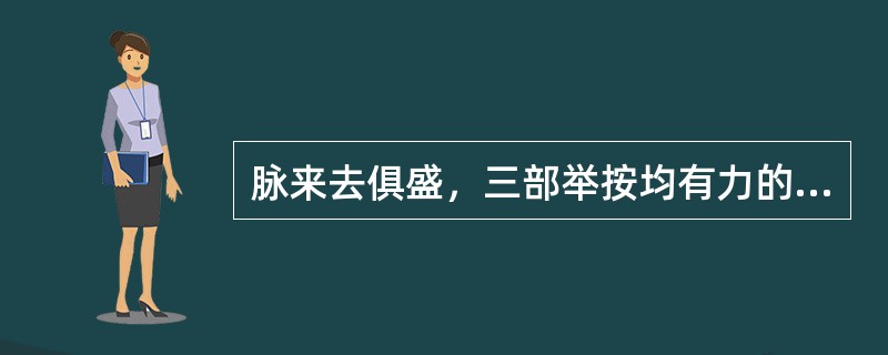 脉来去俱盛，三部举按均有力的脉象是（）