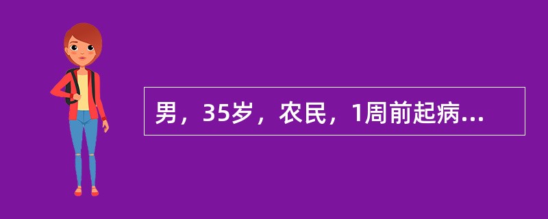 男，35岁，农民，1周前起病有畏寒、寒战、不规则高热，最高达41℃，伴全身酸痛，