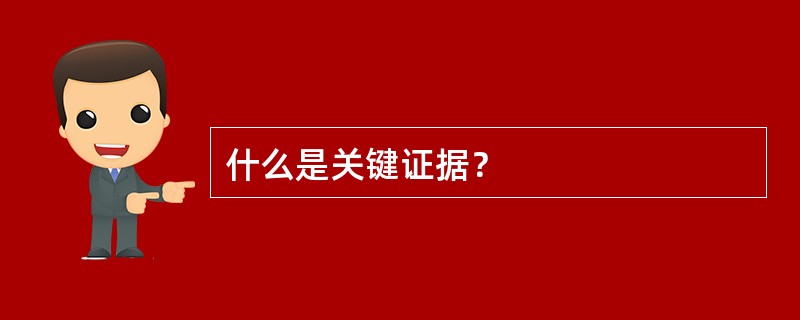 什么是关键证据？