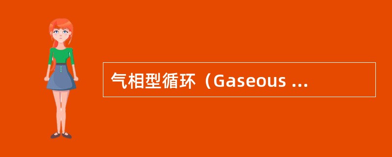 气相型循环（Gaseous Type Cycles）