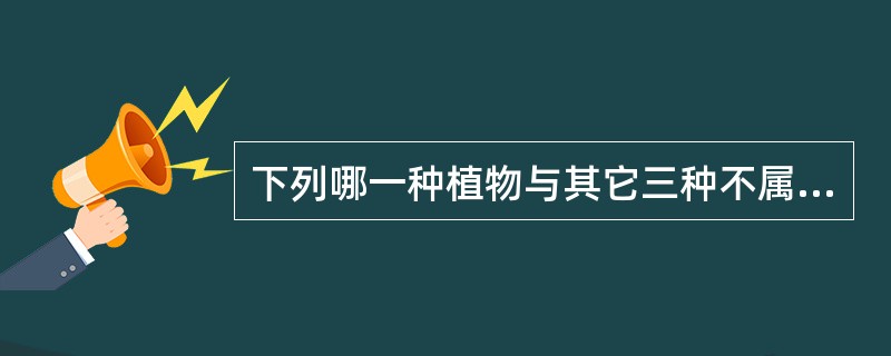 下列哪一种植物与其它三种不属于同一生活型（）