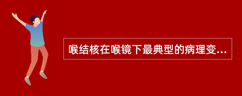 喉结核在喉镜下最典型的病理变化是（）。