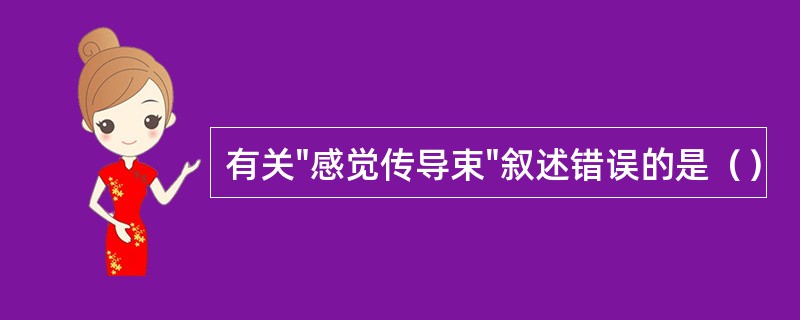 有关"感觉传导束"叙述错误的是（）