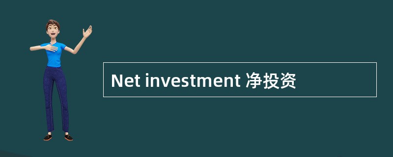 Net investment 净投资