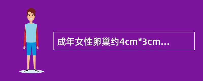 成年女性卵巢约4cm*3cm*1cm大小，约重5-6g。卵巢有生殖和（）