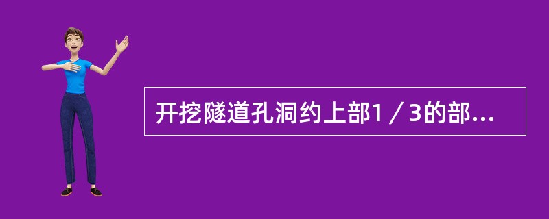 开挖隧道孔洞约上部1／3的部分，称为（）。