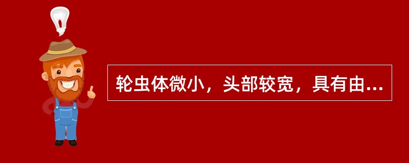 轮虫体微小，头部较宽，具有由1-2圈纤毛组成的（）。其咽部特别膨大，肌肉发达，咽