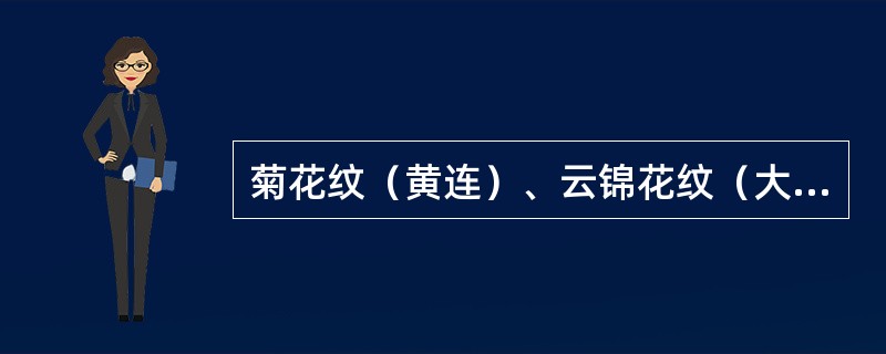 菊花纹（黄连）、云锦花纹（大黄）是描述药材的（）