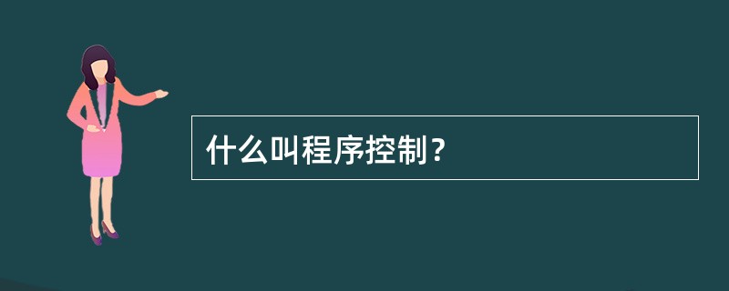 什么叫程序控制？