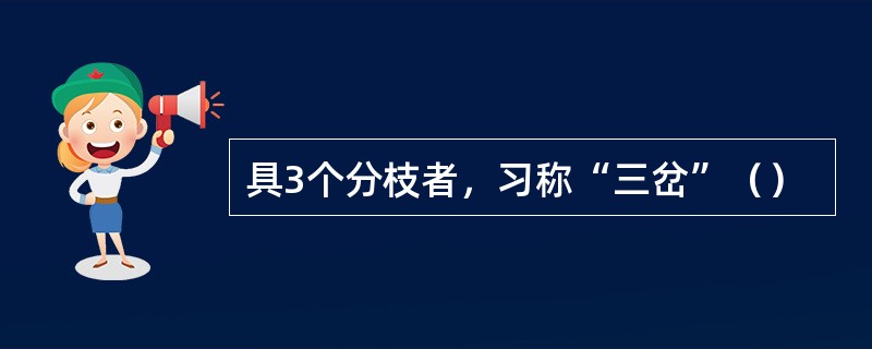 具3个分枝者，习称“三岔”（）