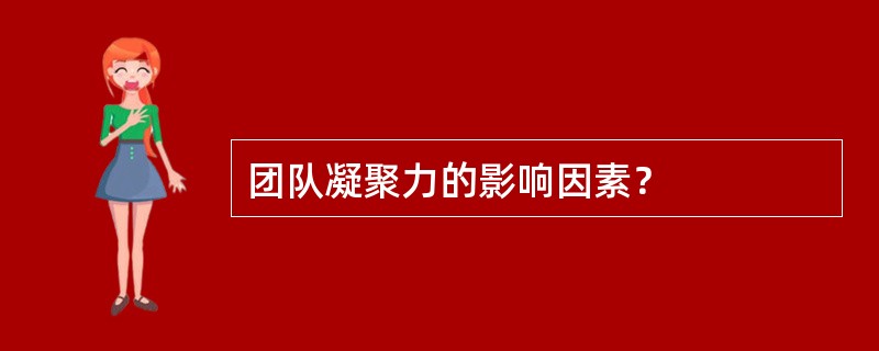 团队凝聚力的影响因素？