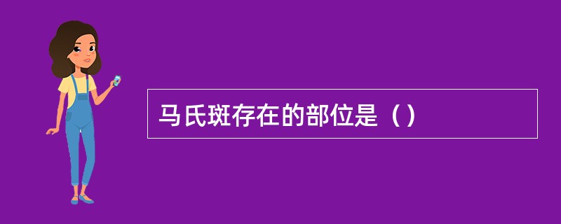 马氏斑存在的部位是（）