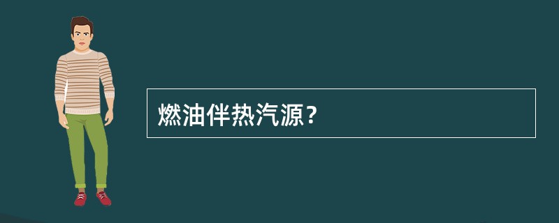 燃油伴热汽源？