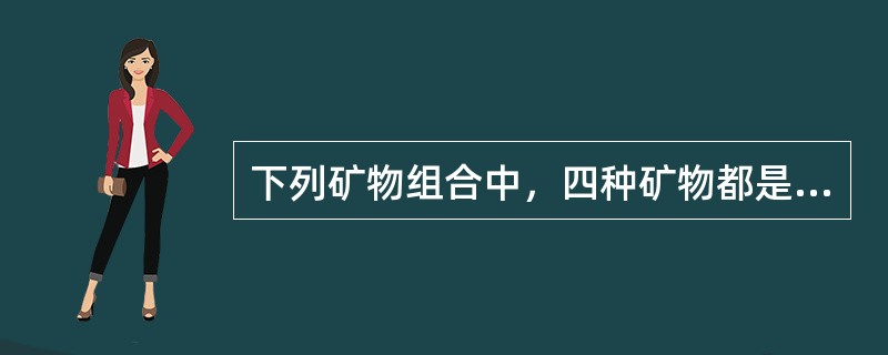 下列矿物组合中，四种矿物都是硅酸盐的是_________。