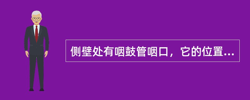 侧壁处有咽鼓管咽口，它的位置在（）