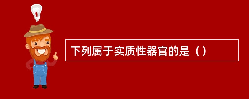 下列属于实质性器官的是（）