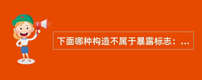 下面哪种构造不属于暴露标志：（）