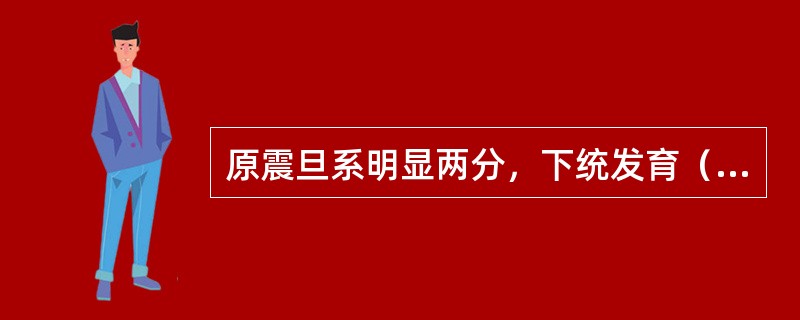 原震旦系明显两分，下统发育（）岩，上统主要为（）岩，第三届全国地层会议将震旦系解