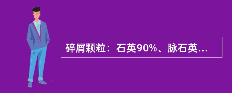 碎屑颗粒：石英90%、脉石英2%、粘土岩岩屑3%、燧石4%；粘土杂基1%；胶结物