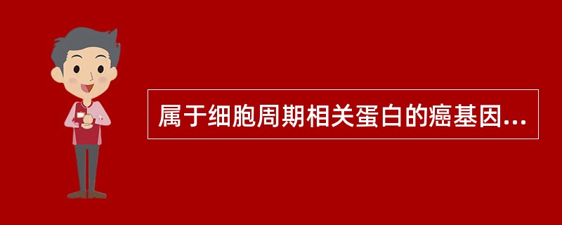 属于细胞周期相关蛋白的癌基因是（）。