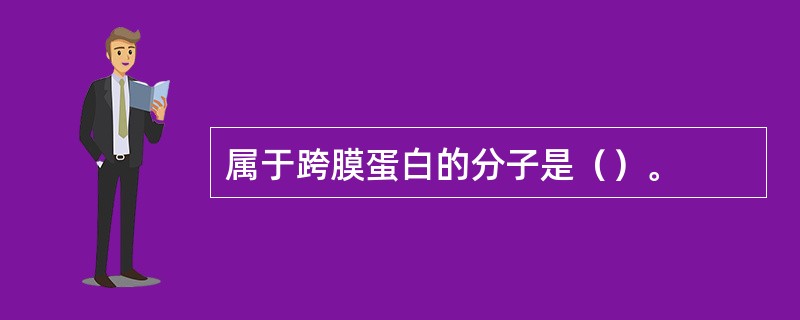 属于跨膜蛋白的分子是（）。