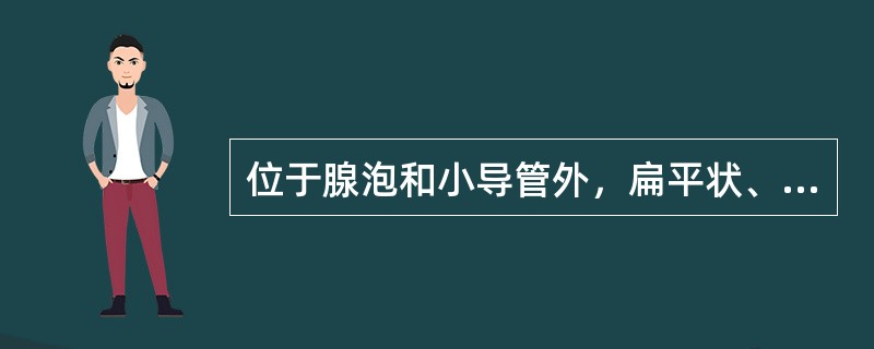 位于腺泡和小导管外，扁平状、有分枝状突起的细胞是（）