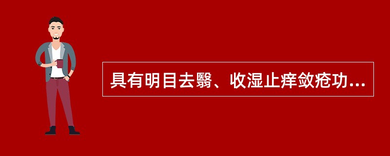 具有明目去翳、收湿止痒敛疮功效的药物是（）