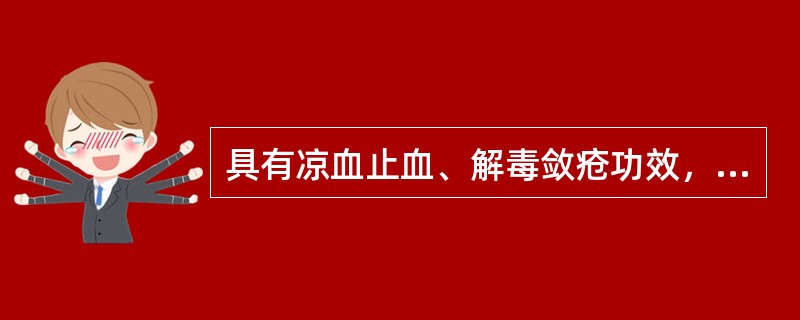 具有凉血止血、解毒敛疮功效，治疗烫伤的药物是（）