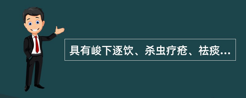 具有峻下逐饮、杀虫疗疮、祛痰止咳功效的药物是（）